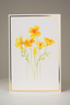 Blank Gift Box Cards