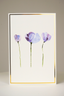 Blank Gift Box Cards