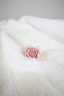 Rose Lip Balm Ring Soft Pink by She's Got Leggz