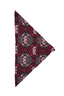 The Bones Bandana